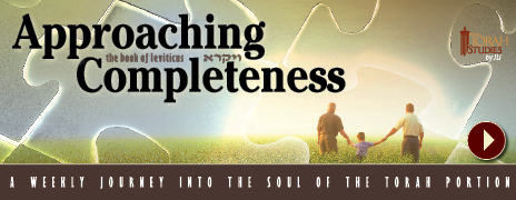 ApproachingCompleteness-TS_Chabadorg.jpg